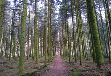 Randonnée Marche Pouxeux - les 3 Communes - Photo