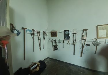 Percorso Marcia Rendeux - hodister - Photo