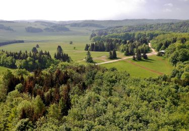 Tour Zu Fuß Gomadingen - Truppenübungsplatz Wanderweg Nr. 8: Eingang Eichenfeld - Turm Hursch - Photo