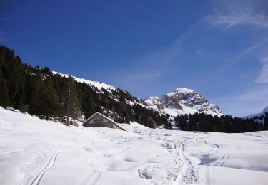 Tour Zu Fuß Scurelle - Sentiero di Val Montalon - Photo