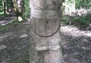 Randonnée V.T.T. Semondans - menhir de Brevilliers  - Photo