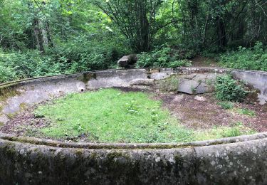Trail Walking Chapdes-Beaufort - Le Mazal ,le chemin fais’art, la vierge de Beaufort  - Photo