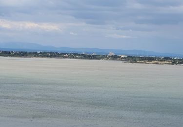 Excursión Senderismo Bages - Da Bages à Peyrac de Mer et retour - Photo