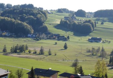 Tour Zu Fuß Thalgau - Fuschl am See Wanderweg - Photo