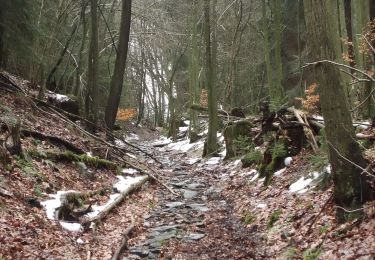 Randonnée A pied Montjoie - Der Pejo-Weiss-Weg - Photo