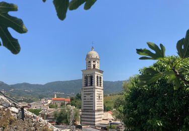 Tocht Stappen Monterosso al Mare - Monterosso Levanto  - Photo