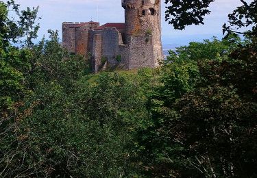 Tocht Stappen Volvic - Tournoel, Veygoux  - Photo