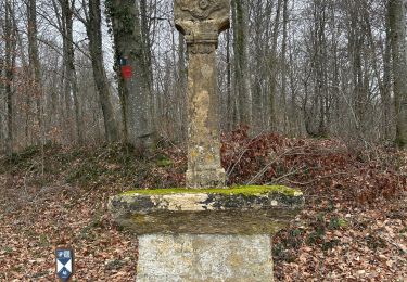 Percorso Marcia Aubange - Rachecourt - Willancourt (boucle 12k) - Photo