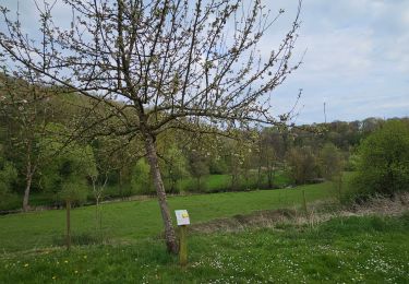 Trail Walking Chimay - A la découverte de Lompret 🥾 - Photo