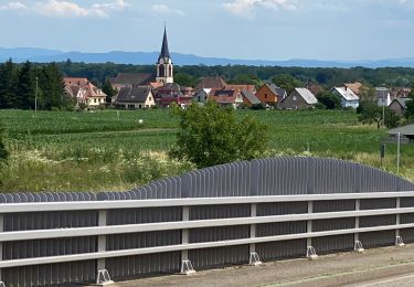 Tocht Elektrische fiets Ostwald - Château  - Photo