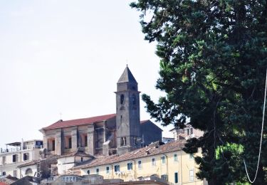 Percorso A piedi Genzano di Roma - Periplo del Lago di Nemi - Photo