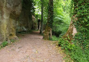 Percorso Marcia Ottrott - RDPR Mont St Odile 250527 apm - Photo
