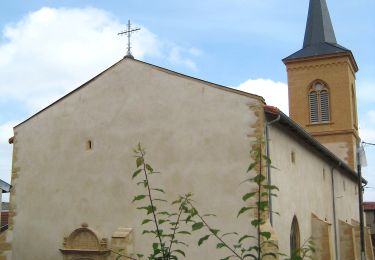 Tour Zu Fuß Petersweiler - Approche d'un Sentier de GR - Photo