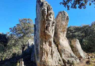 Tour Wandern Chantemerle-lès-Grignan - Chantemerle-Les Grignan Les jumelles du Rozet Clansayes 15km - Photo