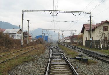 Tour Zu Fuß Kimpolung - Câmpulung Moldovenesc - Izvorul Alb - Poiana Limpedea - Șaua Ciobanilor - Photo