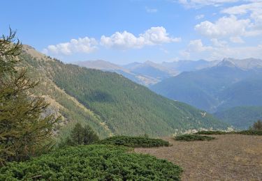 Percorso Marcia Château-Ville-Vieille - lac de soulier retour par les crêtes  - Photo