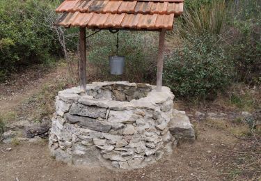 Tour Wandern Allauch - le Pilon - Photo