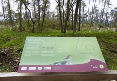 Tour Zu Fuß Adelebsen - Rundwanderweg Dransfeld 7 - Photo