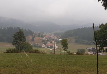 Trail Walking Lajoux - GTJ jour 16 - Photo