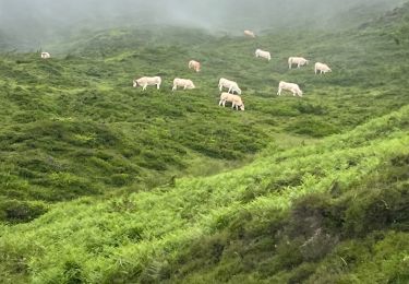 Tour Wandern Arrens-Marsous - Col soulor - Photo