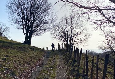 Randonnée Marche Saint Geniez d'Olt et d'Aubrac - Les Vergnes Mailhebiau Tourbière  - Photo