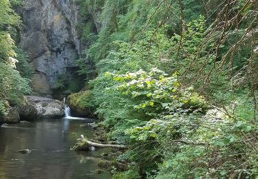 Trail Walking Vic-sur-Cère - vallée de la cere  - Photo