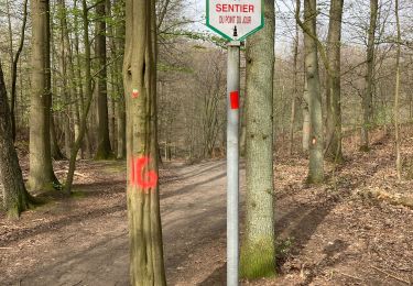 Tocht Stappen 's-Gravenbrakel - Bois de la Houssiere - Photo