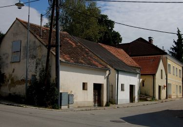 Percorso A piedi Gemeinde Mistelbach - tutgut-Wanderweg Route 2 - Photo