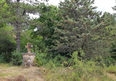 Tour Nordic Walking Nant - Canoles du Larzac - Photo