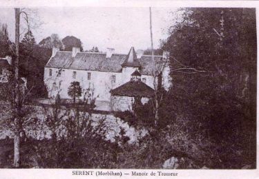 Tour Zu Fuß Lizio - Sentier Botanique - Photo