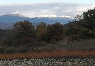 Tocht Stappen Cairanne - cairanne sentier bouteille - Photo