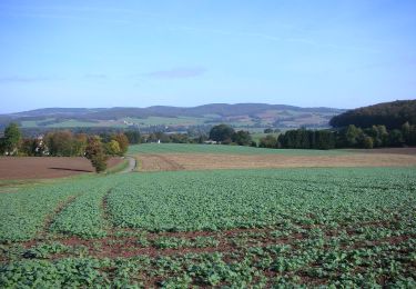 Randonnée A pied Dörentrup - A1 Rundwanderweg um den Lühberg bei Wendlinghausen - Photo