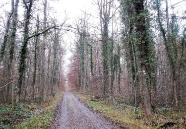 Tocht Te voet Herrenberg - Roter Punkt, Herrenberg - Naturfreundehaus - Photo