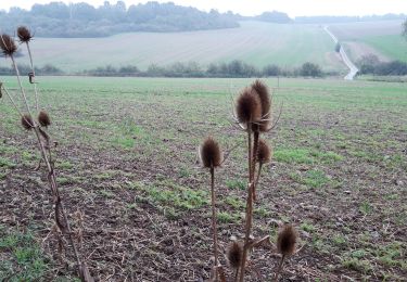 Trail Walking Couvin - boussu en fagne  - Photo