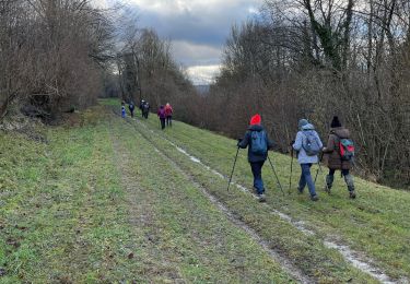 Randonnée Marche Chézy-sur-Marne - CHEZY 090125 - Photo