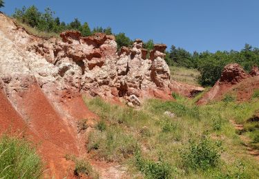 Trail On foot Madriat - Bard et Letz - Photo