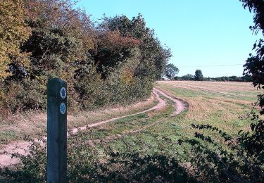 Tocht Te voet North Hertfordshire - HOOP - Hitchin Outer Orbital Path - Photo