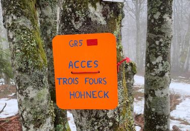 Trail Walking Le Valtin - La schlute  - Photo