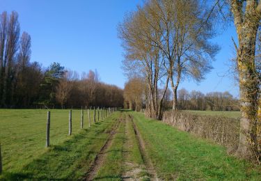 Percorso Marcia Azay-sur-Indre - Azay-sur-Indre - GR46 PR Chambourg-sur-Indre - 18.2km 200m 2h55 (23mn) - 2021 03 06 - Photo