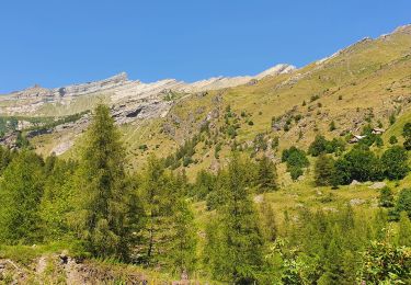 Tocht Stappen Champoléon - Refuge Tourond + Cascade 28/07/20 - Photo