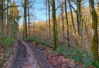 Tour Wandern Couvin - Balade à Petigny - Photo