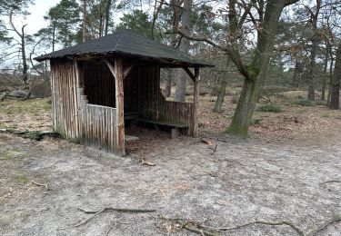 Trail Walking Kalmthout - Kalmthout parcours Park 24,4 km - Photo