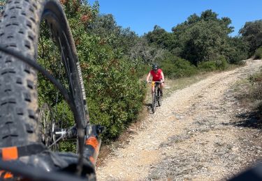 Percorso Mountainbike Saint-Paul-Trois-Châteaux - PremiÃ¨re Faelle  - Photo