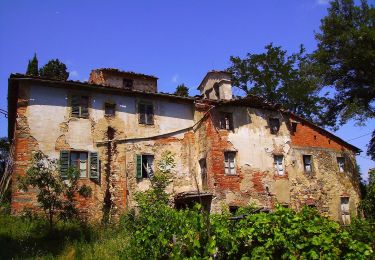 Tour Zu Fuß Gaiole in Chianti - IT-39 - Photo