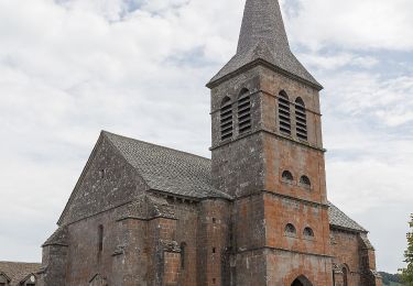 Tour Zu Fuß Chastreix - Bois de la Masse - Photo