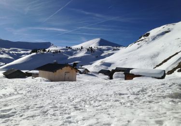 Tour Schneeschuhwandern Nancy-sur-Cluses - Tête de Sallaz et chalet de Vormy - Photo