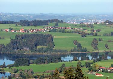 Tour Zu Fuß Oy-Mittelberg - Rundweg 3 - Photo