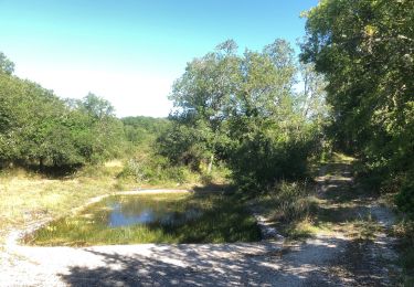 Percorso Mountainbike Caniac-du-Causse - Boucle Quissac - Caniac du Causse - Photo