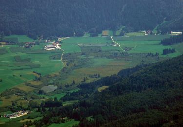 Tour Zu Fuß Bleggio Superiore - IT-O463 - Photo