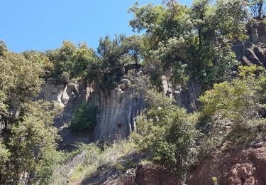 Excursión Senderismo Le Puech - Les Vailhès Laulo Plateau d'Auverne Salagou - Photo